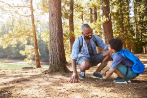 Read more about the article Watch Your Step: Emotional Stability on Rocky Ground